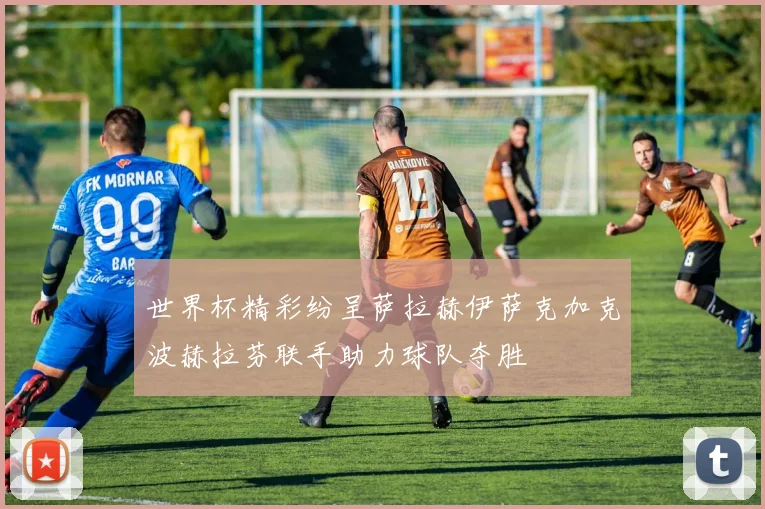 世界杯精彩纷呈萨拉赫伊萨克加克波赫拉芬联手助力球队夺胜