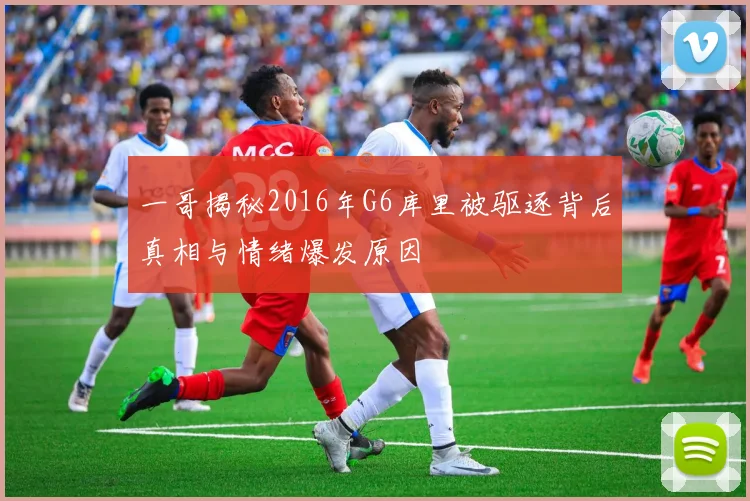 一哥揭秘2016年G6库里被驱逐背后真相与情绪爆发原因